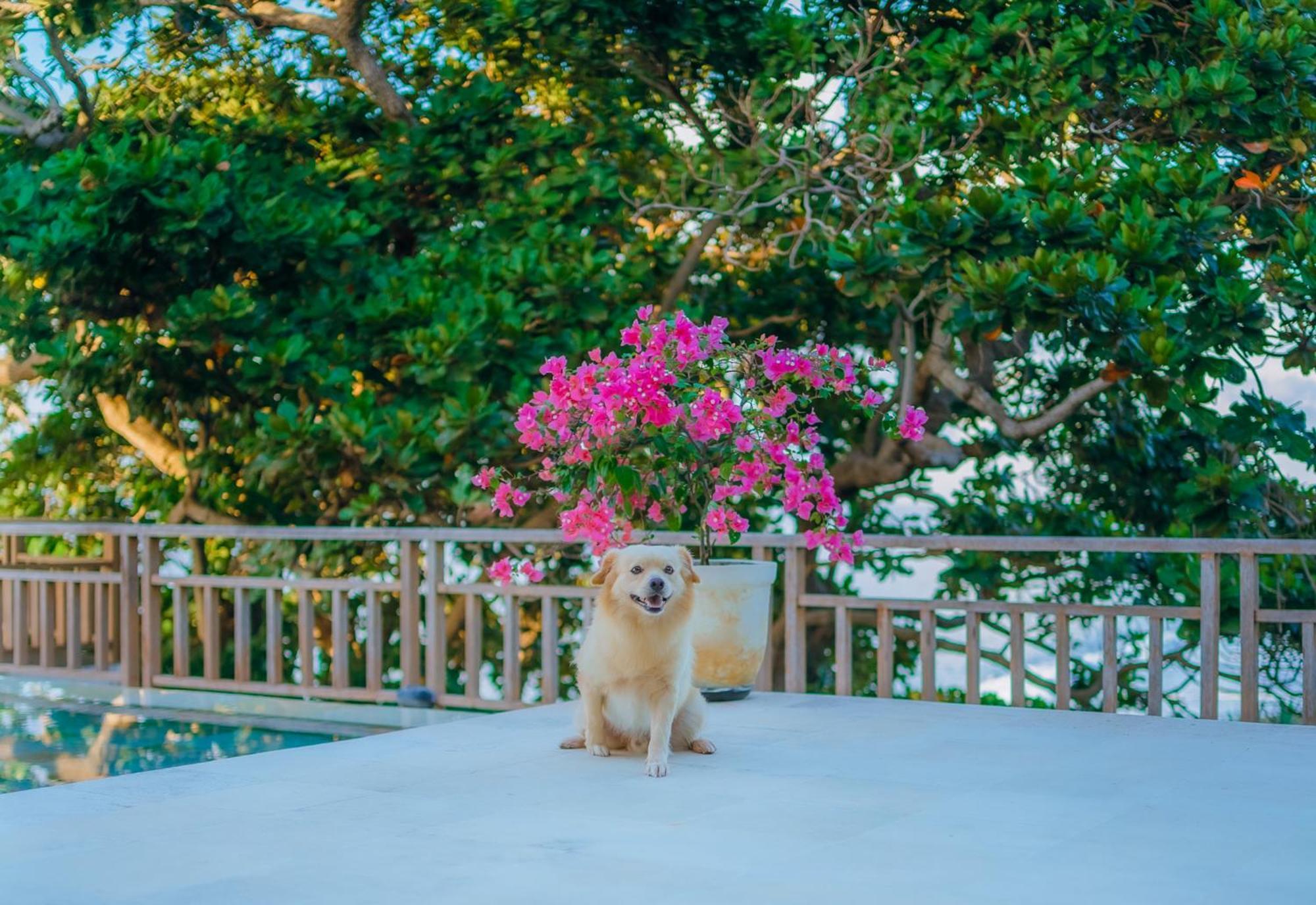 Raaga Samudra Villa Padangbai  Dış mekan fotoğraf