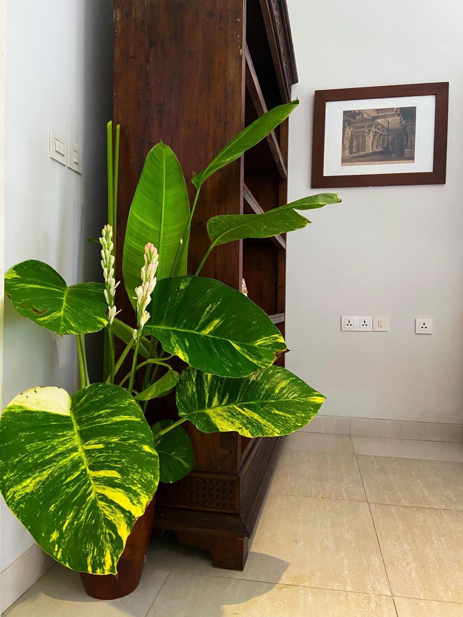 Raaga Samudra Villa Padangbai  Dış mekan fotoğraf
